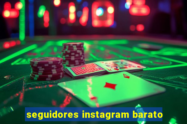 seguidores instagram barato